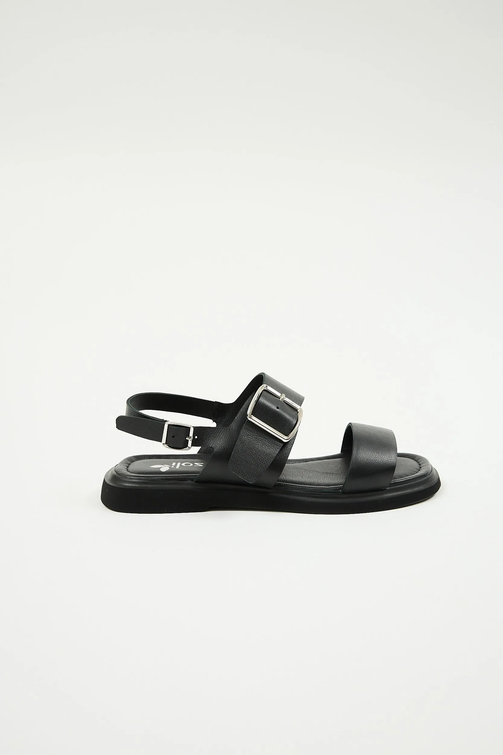 Delfina Black