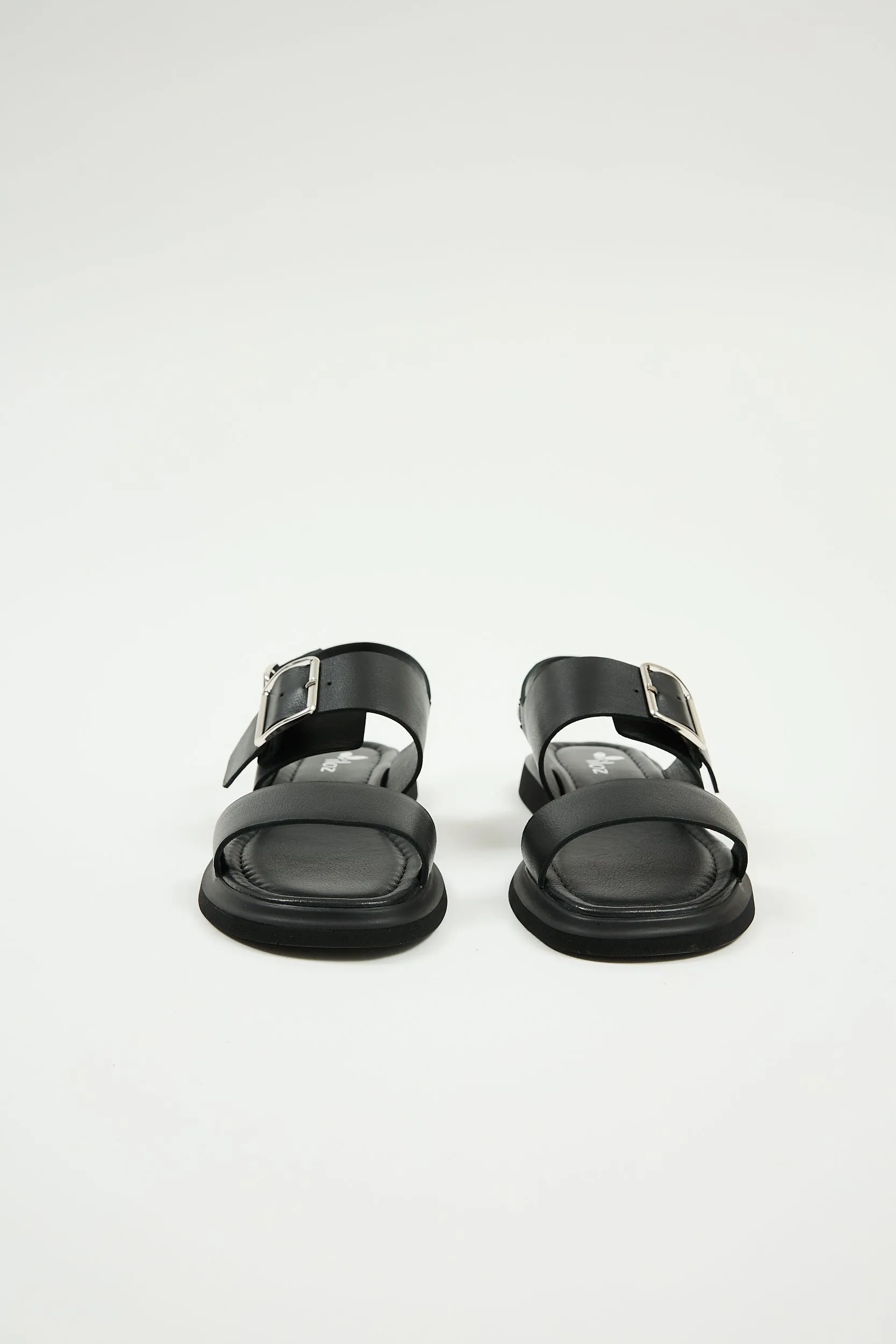 Delfina Black