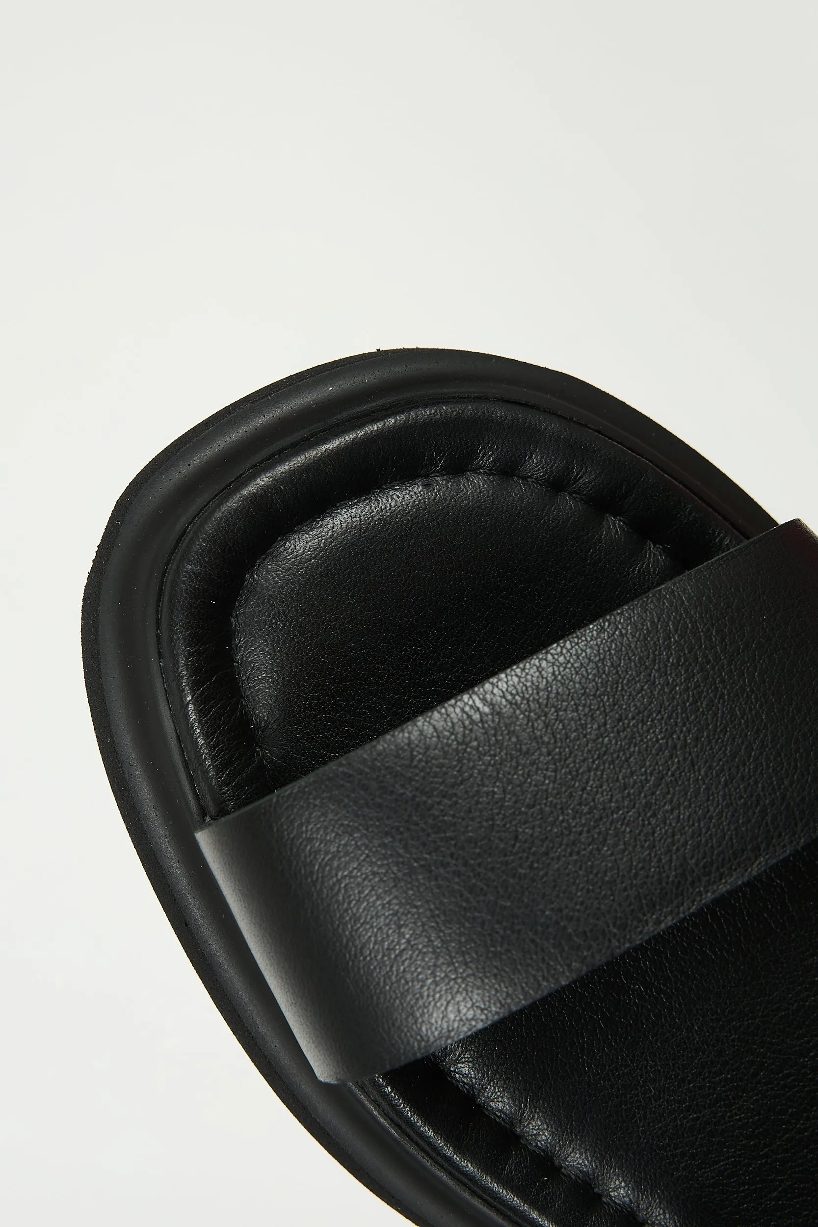 Delfina Black